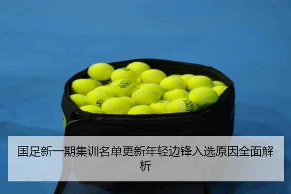 国足新一期集训名单更新年轻边锋入选原因全面解析